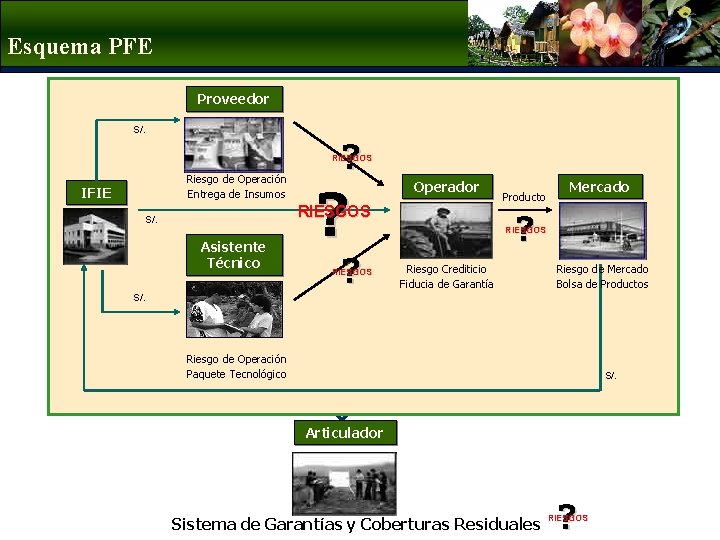 Esquema PFE Proveedor S/. ? RIESGOS Riesgo de Operación Entrega de Insumos IFIE ?