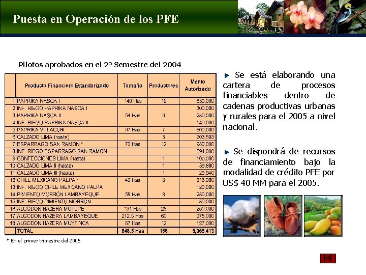 Puesta en Operación de los PFE Pilotos aprobados en el 2° Semestre del 2004