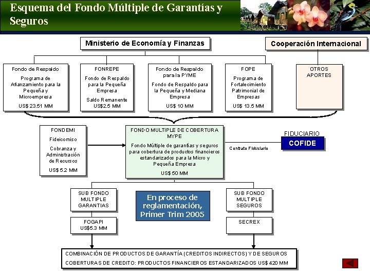 Esquema del Fondo Múltiple de Garantías y Seguros Ministerio de Economía y Finanzas Fondo