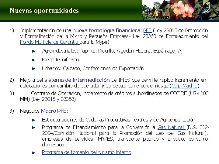 Nuevas oportunidades 1) Implementación de una nueva tecnología financiera: PFE (Ley 28015 de Promoción