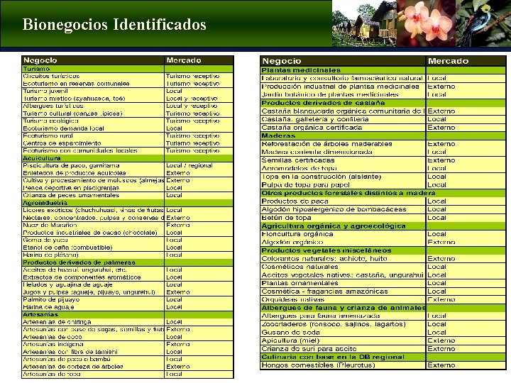 Bionegocios Identificados 