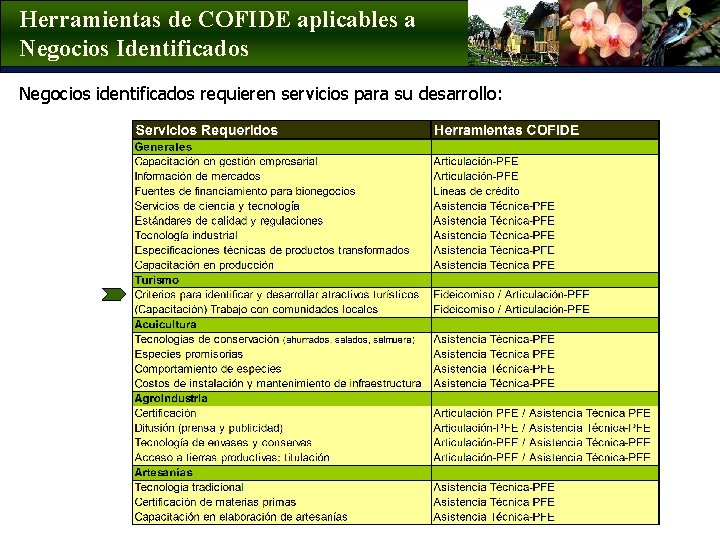 Herramientas de COFIDE aplicables a Negocios Identificados Negocios identificados requieren servicios para su desarrollo: