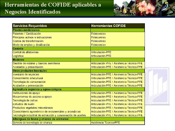 Herramientas de COFIDE aplicables a Negocios Identificados 