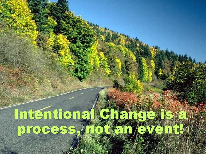 Intentional Change is a process, not an event! © Ann D. Carden, Ph. D.