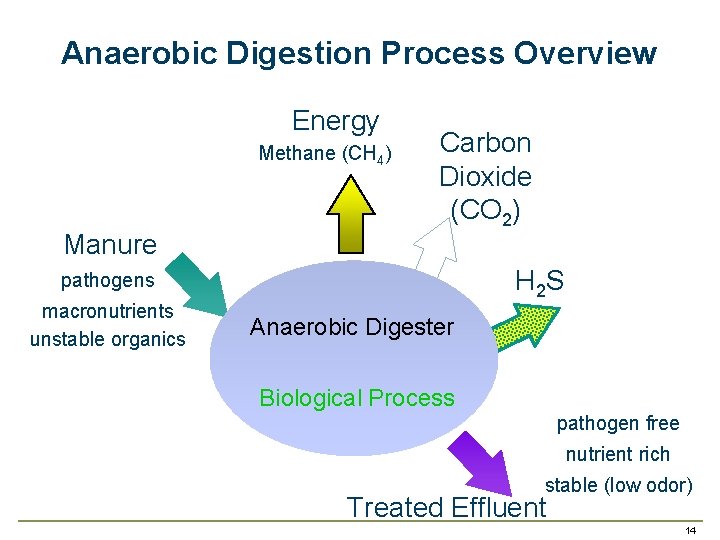 Anaerobic Digestion Process Overview Energy Methane (CH 4) Manure Carbon Dioxide (CO 2) H
