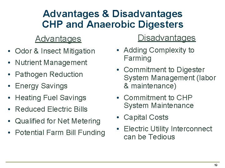 Advantages & Disadvantages CHP and Anaerobic Digesters Advantages • Odor & Insect Mitigation •