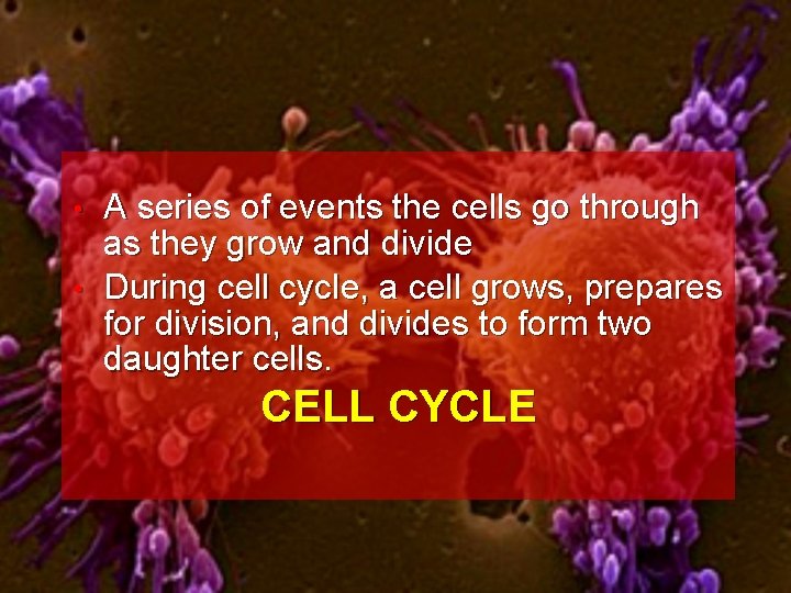 A series of events the cells go through as they grow and divide •
