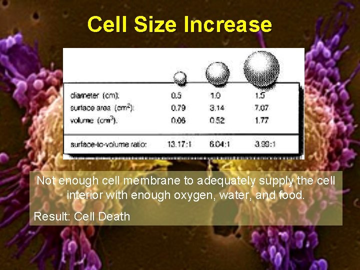 Cell Size Increase Not enough cell membrane to adequately supply the cell interior with