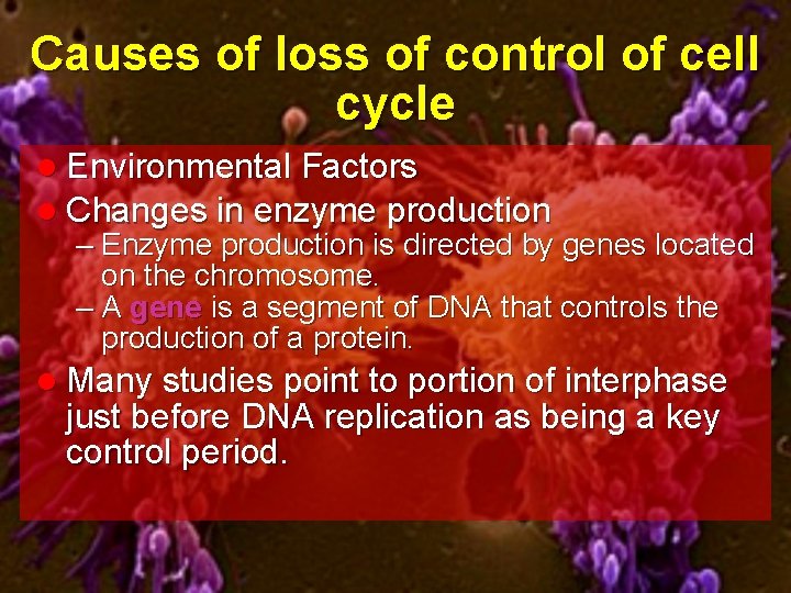 Causes of loss of control of cell cycle l Environmental Factors l Changes in