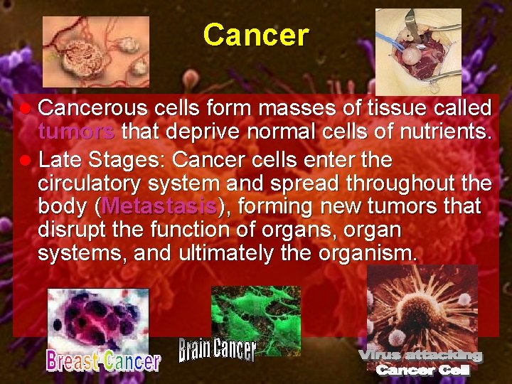 Cancer l Cancerous cells form masses of tissue called tumors that deprive normal cells