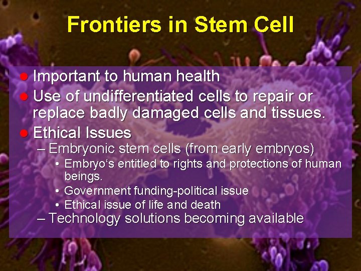 Frontiers in Stem Cell l Important to human health l Use of undifferentiated cells