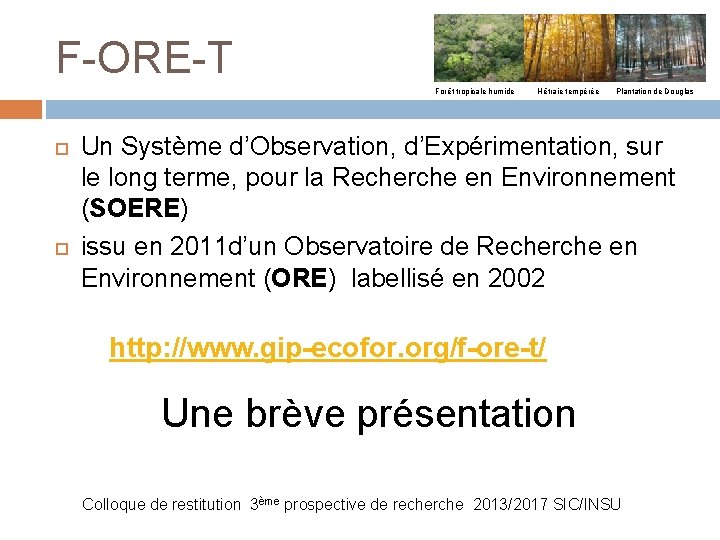 F-ORE-T Forêt tropicale humide Hêtraie tempérée Plantation de Douglas Un Système d’Observation, d’Expérimentation, sur