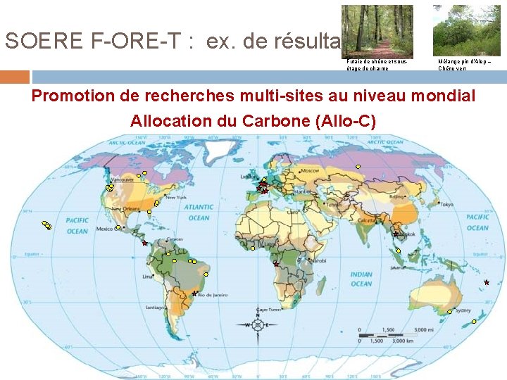 SOERE F-ORE-T : ex. de résultats Futaie de chêne et sousétage de charme Mélange