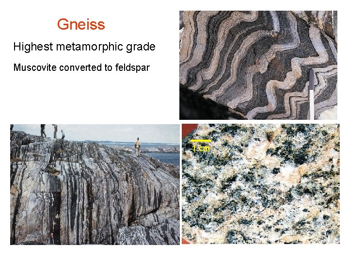 Gneiss Highest metamorphic grade Muscovite converted to feldspar 1 cm 