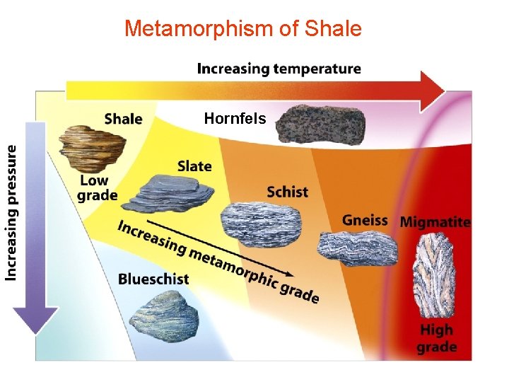 Metamorphism of Shale Hornfels 