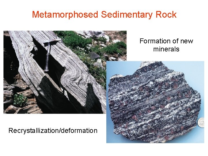 Metamorphosed Sedimentary Rock Formation of new minerals Recrystallization/deformation 