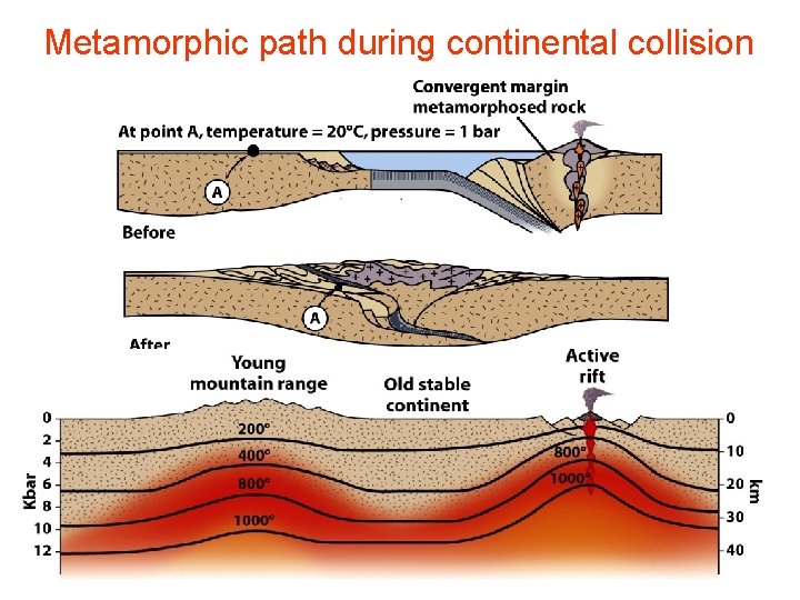 Metamorphic path during continental collision 