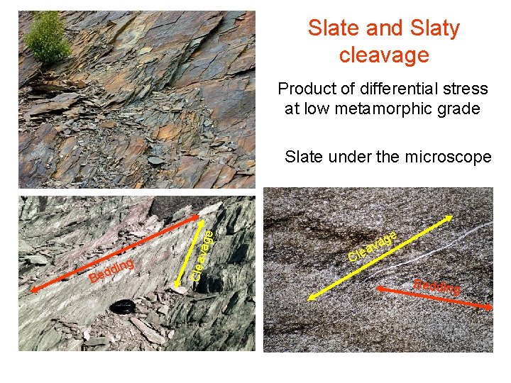 Slate and Slaty cleavage Product of differential stress at low metamorphic grade Clea ng
