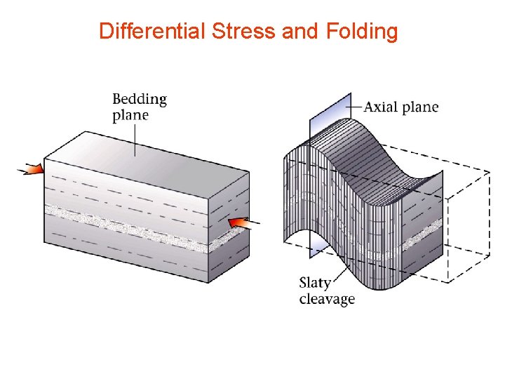 Differential Stress and Folding 