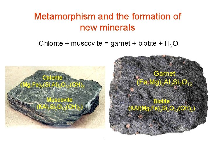 Metamorphism and the formation of new minerals Chlorite + muscovite = garnet + biotite