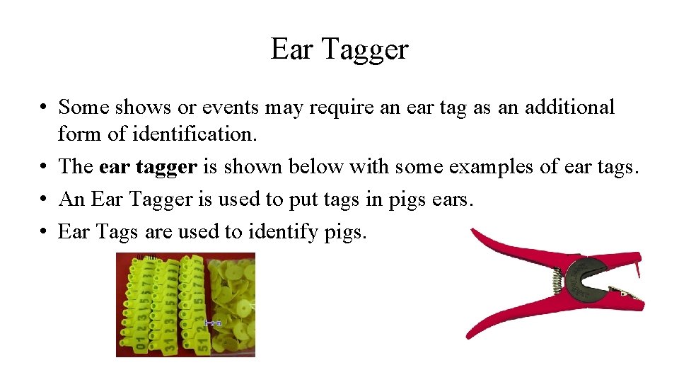 Ear Tagger • Some shows or events may require an ear tag as an