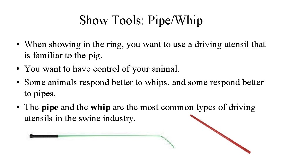 Show Tools: Pipe/Whip • When showing in the ring, you want to use a