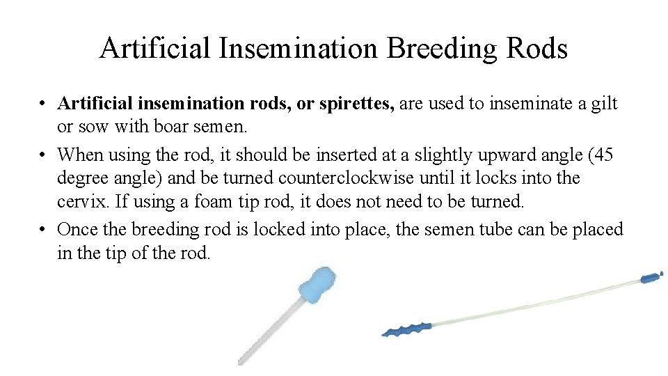 Artificial Insemination Breeding Rods • Artificial insemination rods, or spirettes, are used to inseminate