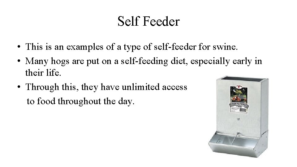 Self Feeder • This is an examples of a type of self-feeder for swine.