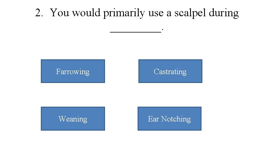 2. You would primarily use a scalpel during _____. Farrowing Castrating Weaning Ear Notching