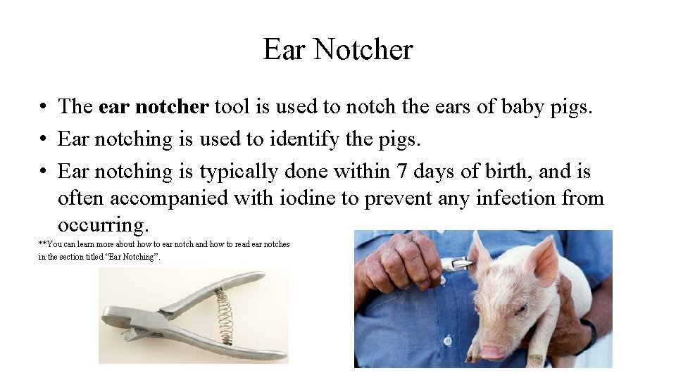 Ear Notcher • The ear notcher tool is used to notch the ears of