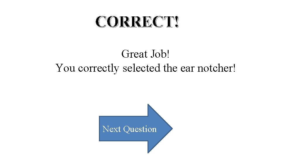 CORRECT! Great Job! You correctly selected the ear notcher! Next Question 