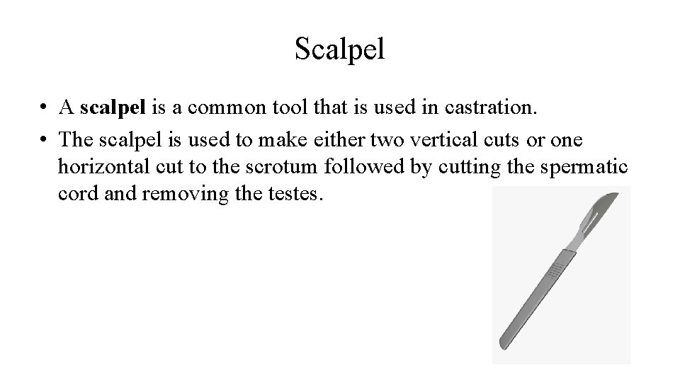 Scalpel • A scalpel is a common tool that is used in castration. •