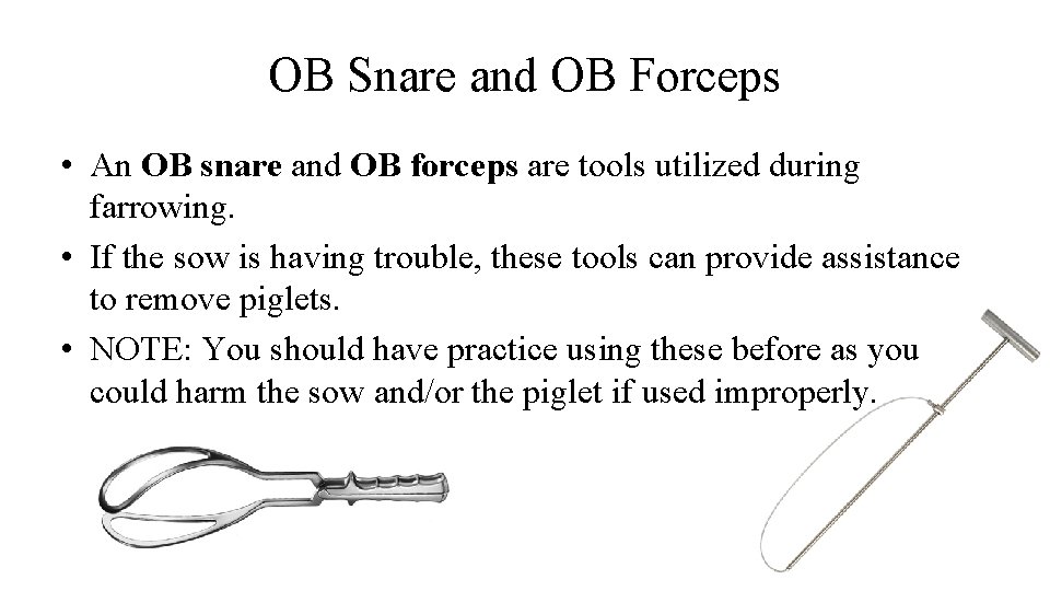 OB Snare and OB Forceps • An OB snare and OB forceps are tools