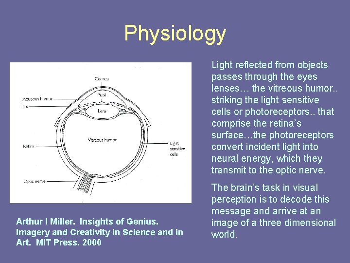 Physiology Light reflected from objects passes through the eyes lenses… the vitreous humor. . Physiology Light reflected from objects passes through the eyes lenses… the vitreous humor. .