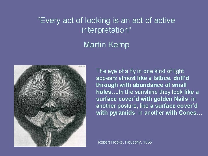 “Every act of looking is an act of active interpretation” Martin Kemp The eye “Every act of looking is an act of active interpretation” Martin Kemp The eye