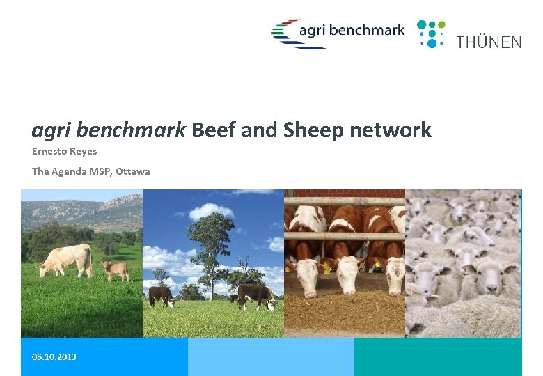 agri benchmark Beef and Sheep network Ernesto Reyes The Agenda MSP, Ottawa 06. 10.