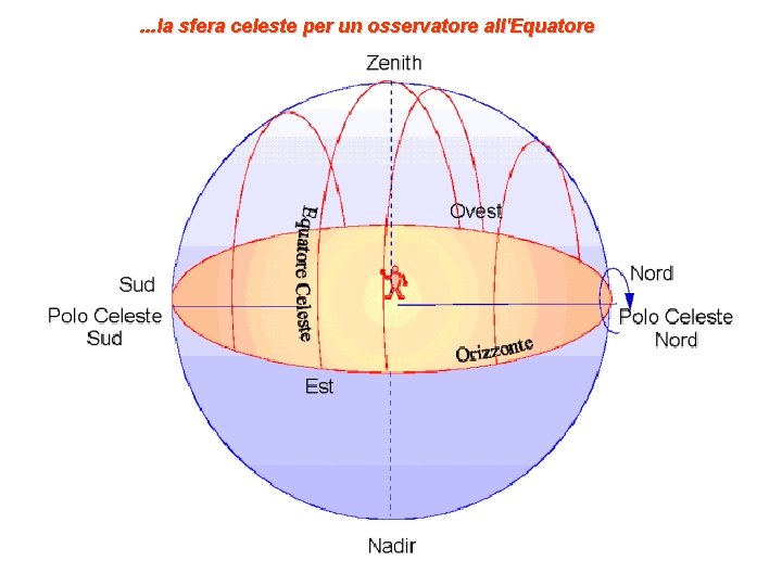 . . . la sfera celeste per un osservatore all'Equatore 