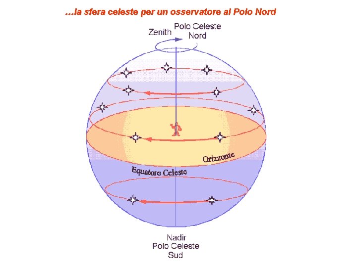 …la sfera celeste per un osservatore al Polo Nord 