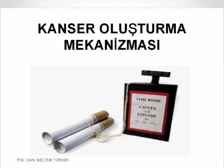 PSK. DAN. MELTEM TÜRKER 