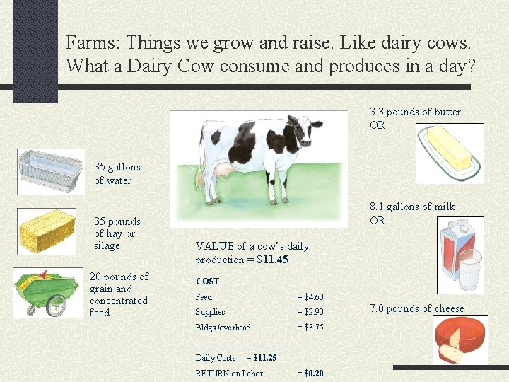 Farms: Things we grow and raise. Like dairy cows. What a Dairy Cow consume