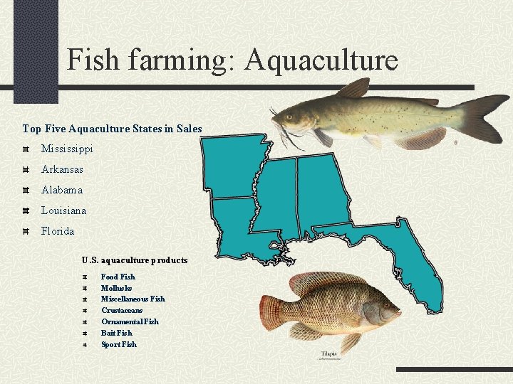 Fish farming: Aquaculture Top Five Aquaculture States in Sales Mississippi Arkansas Alabama Louisiana Florida