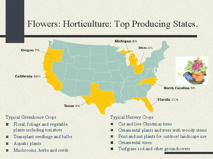 Flowers: Horticulture: Top Producing States. Typical Greenhouse Crops Floral, foliage and vegetable plants including