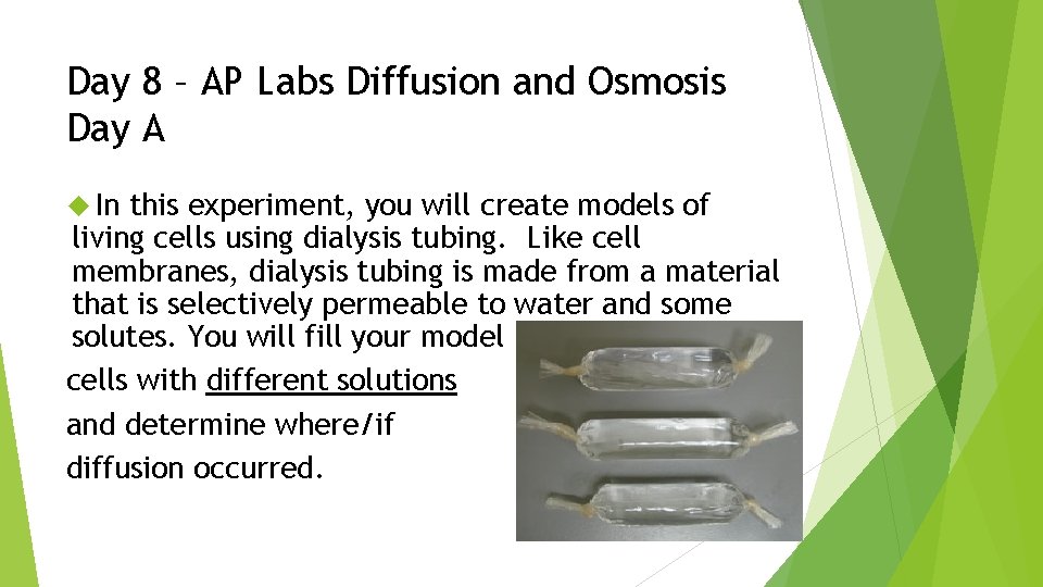 Day 8 – AP Labs Diffusion and Osmosis Day A In this experiment, you