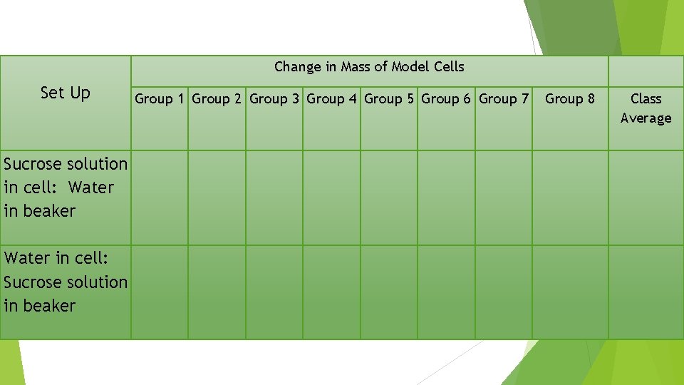 Change in Mass of Model Cells Set Up Sucrose solution in cell: Water in