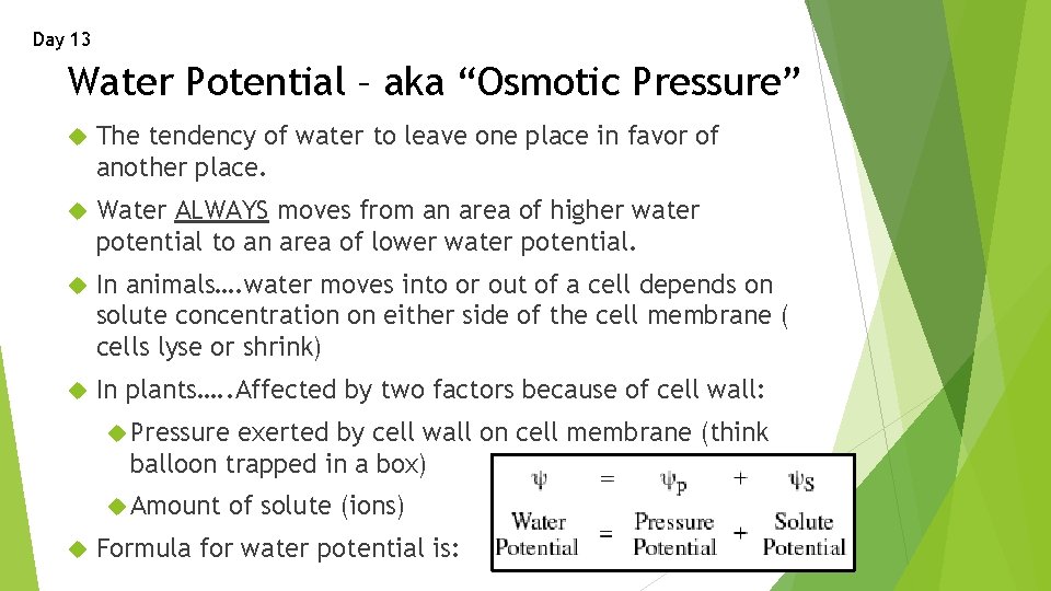 Day 13 Water Potential – aka “Osmotic Pressure” The tendency of water to leave