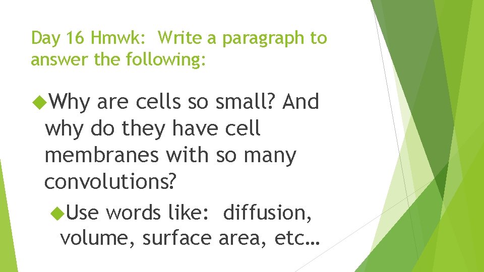 Day 16 Hmwk: Write a paragraph to answer the following: Why are cells so