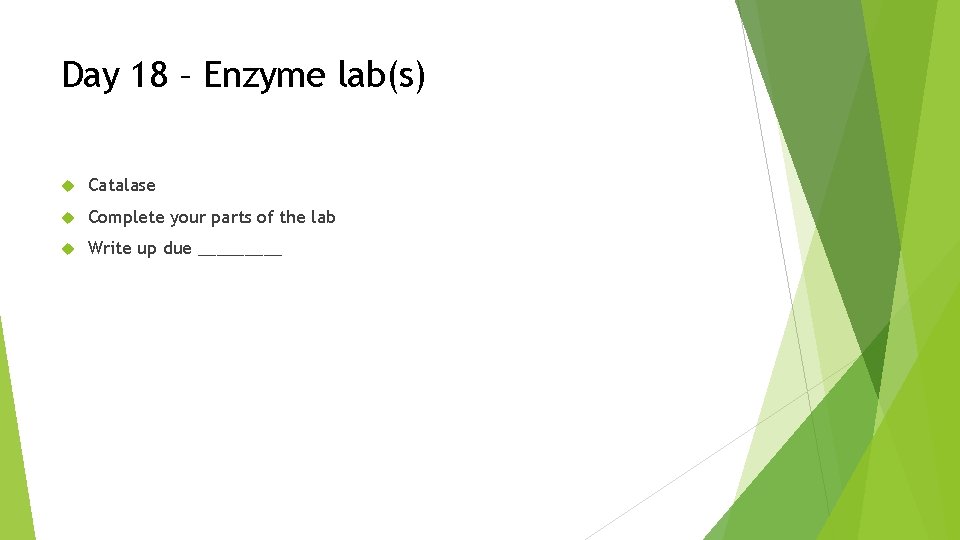 Day 18 – Enzyme lab(s) Catalase Complete your parts of the lab Write up