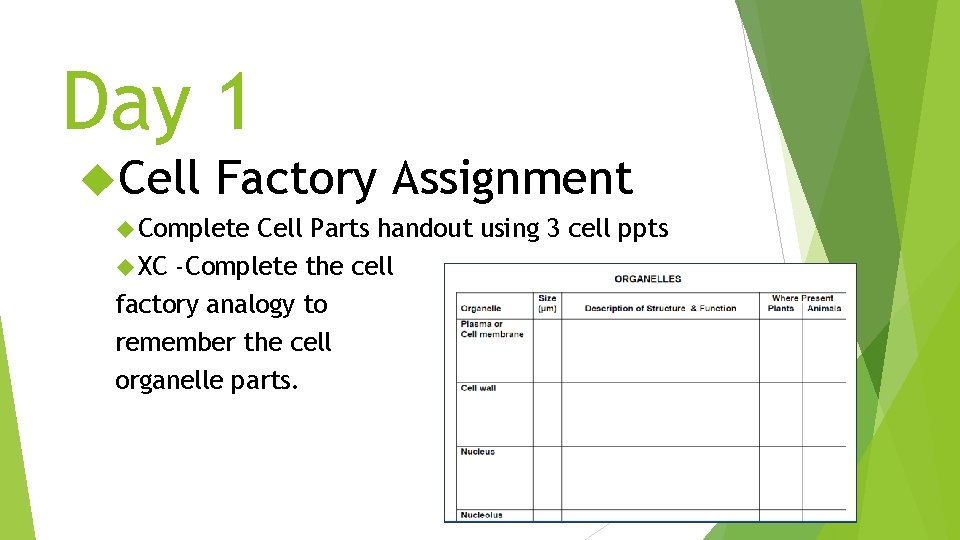 Day 1 Cell Factory Assignment Complete Cell Parts handout using 3 cell ppts XC
