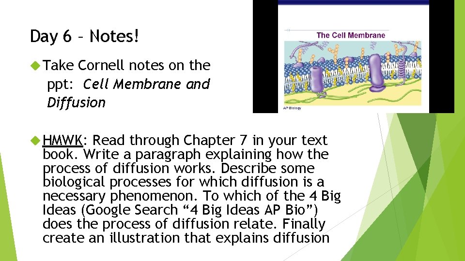 Day 6 – Notes! Take Cornell notes on the ppt: Cell Membrane and Diffusion
