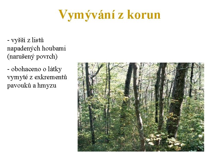 Vymývání z korun - vyšší z listů napadených houbami (narušený povrch) - obohaceno o